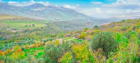 روستای پیران