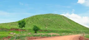 تپه های موسایی