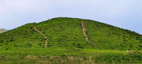 تپه های موسایی