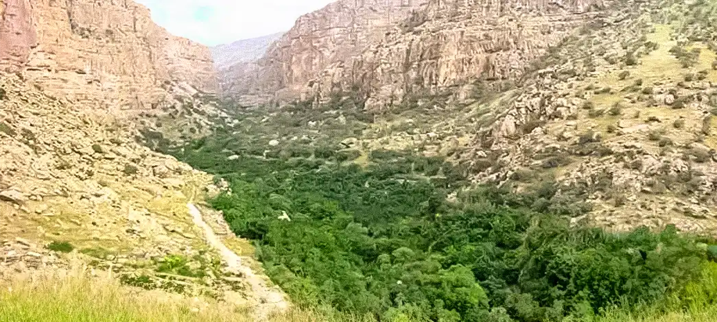 ناو تنگ منصوری شاخص