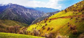 شهرستان پاوه