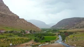 سراب برناج